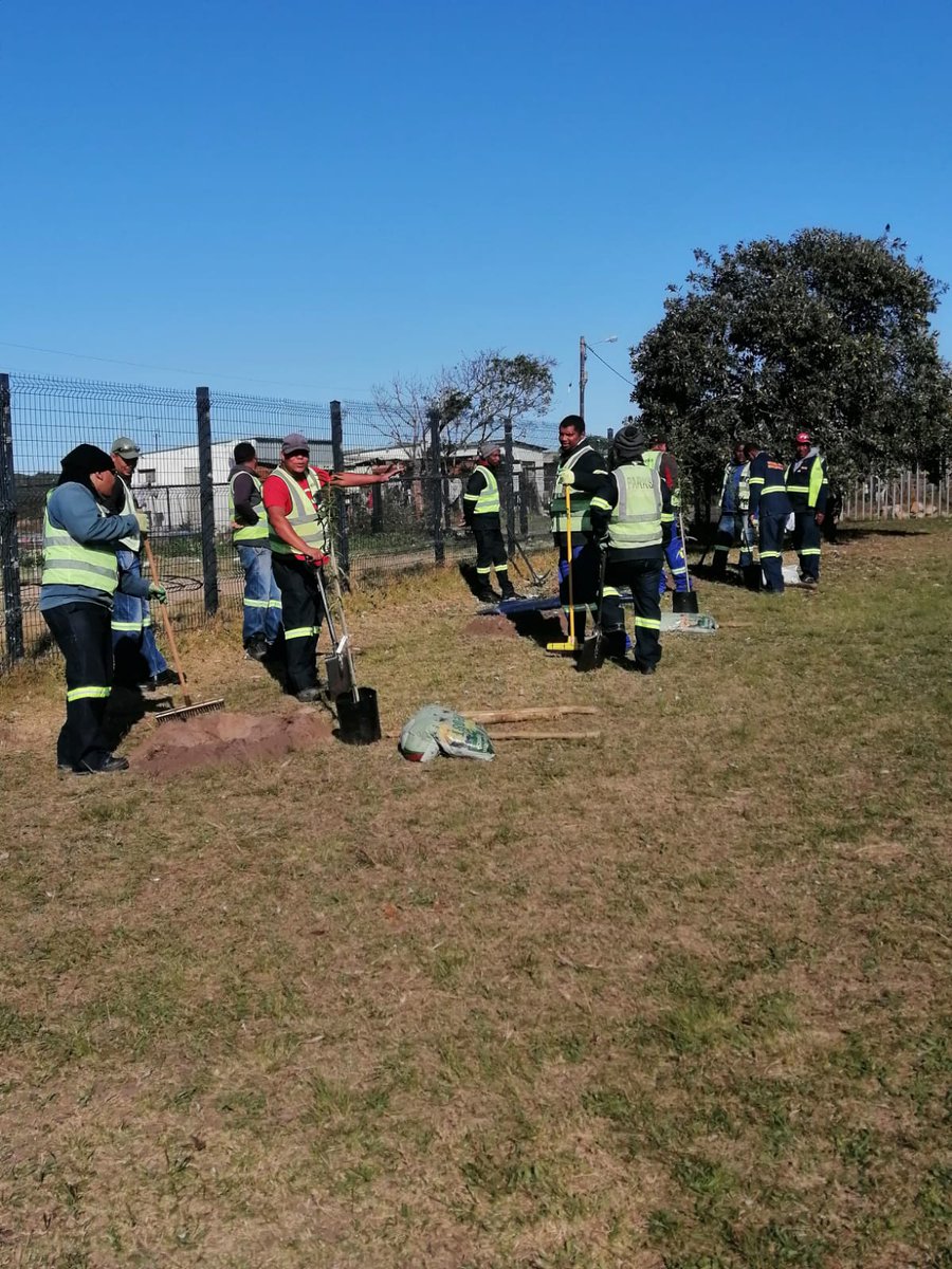 Mayor Dirk Kotze tweet media