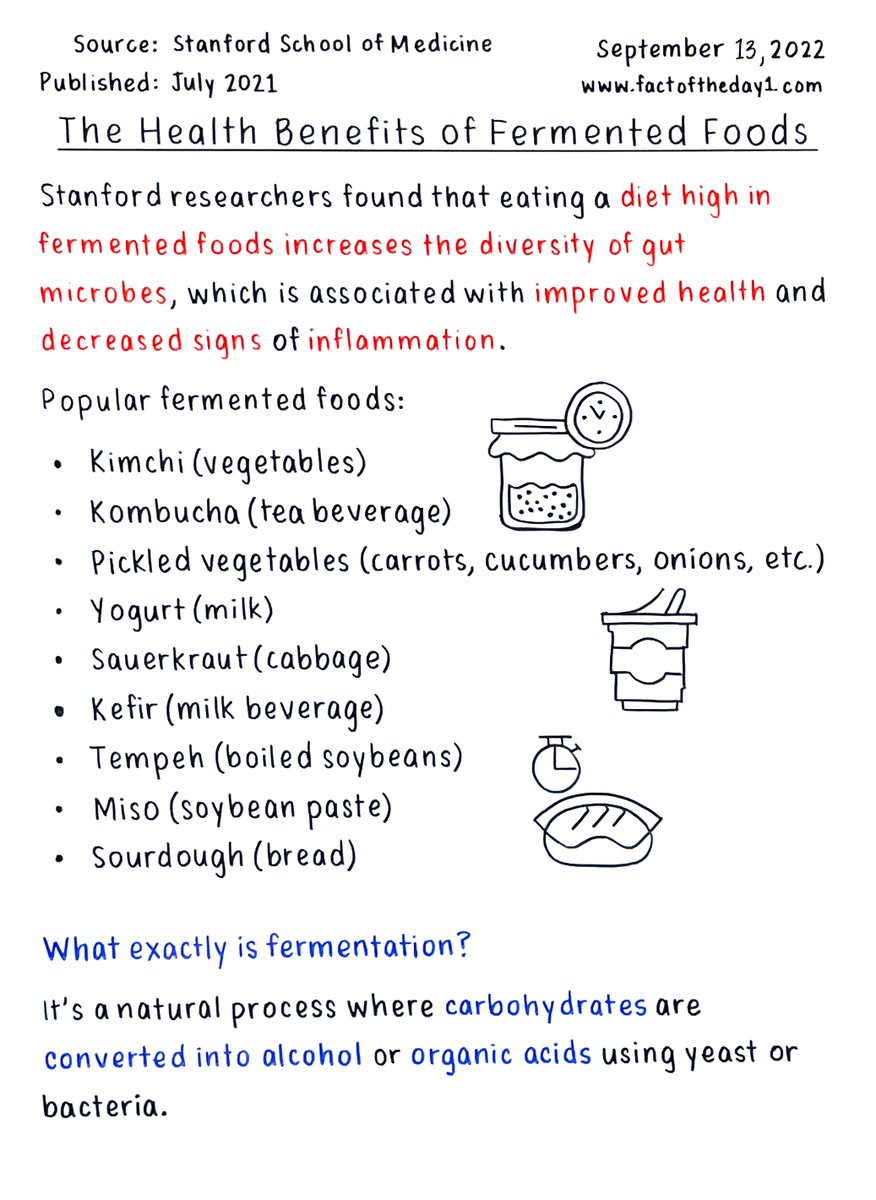 Your gut and immune system love fermented foods.

Read the full fact here: factoftheday1.com/p/september-13…

#FermentedFood  #Fermentation #HealthBenefit