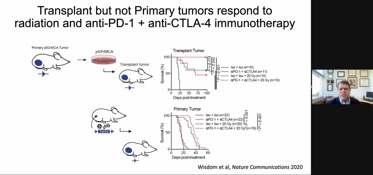 Freddy E Escorcia (@freddyeescorcia elsewhere) (@freddyeescorcia) on Twitter photo Wow. Huge, elegant study! Rigorous controls!
Differences if responses to tx bt primary tumors v. transplant suggest that primary tumors induce immune tolerance.
Pub: nature.com/articles/s4146…
Bravo, <a href="/AmyWisdom8/">Amy Wisdom, MD, PhD</a> and <a href="/DKirschMDPhD/">David Kirsch, MD, PhD</a>! Wow. Huge, elegant study! Rigorous controls!
Differences if responses to tx bt primary tumors v. transplant suggest that primary tumors induce immune tolerance.
Pub: nature.com/articles/s4146…
Bravo, <a href="/AmyWisdom8/">Amy Wisdom, MD, PhD</a> and <a href="/DKirschMDPhD/">David Kirsch, MD, PhD</a>!