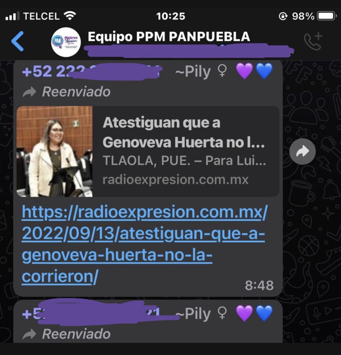 LidiaFloGu's tweet photo. Estimada @PilyVarmoran, parte de tu encomienda como #PPM en @panpuebla2124 es promover la erradicación la violencia política vs 👩🏽. 

Que minimices nuestras voces solo muestra que estamos lejos de la igualdad que buscamos como partido.@Laura_Esquivel @Viriloz @CeciliaPatronL https://t.co/VOZqWK6dYr