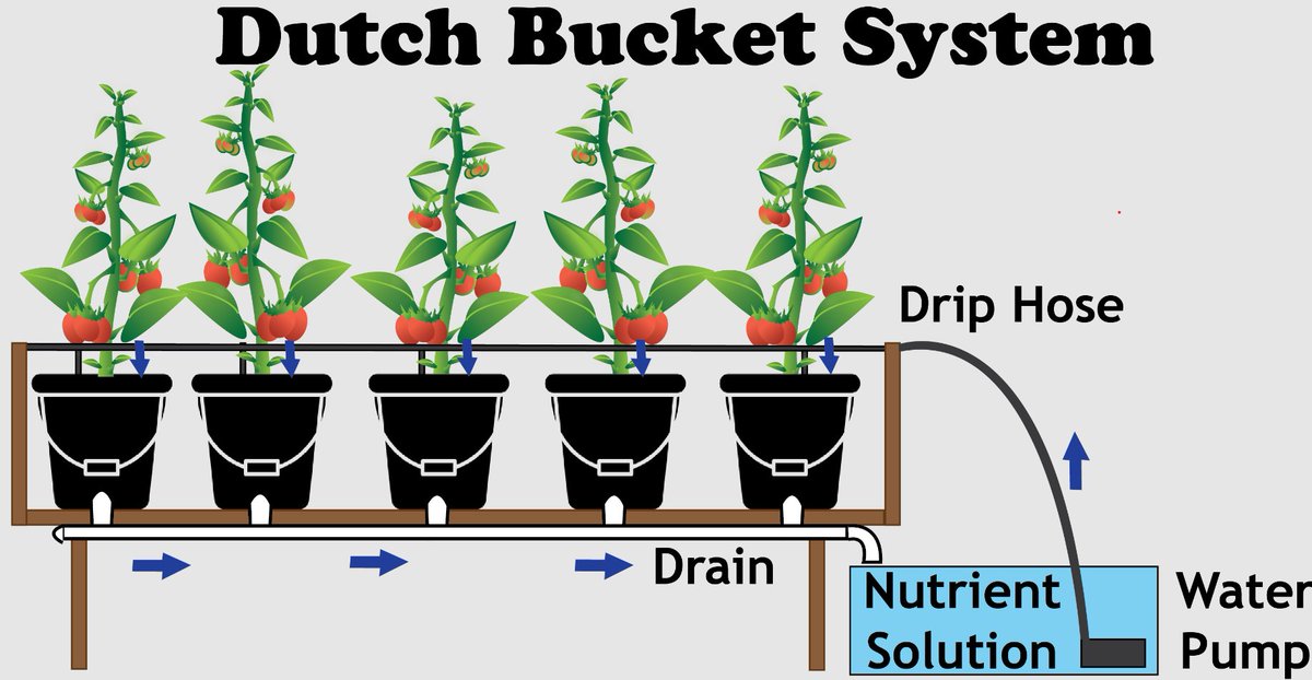 repurposedMATLS's tweet photo. OUR CUSTOMER: We sold 10 gal drums to a Minnesota customer who is using them in a Dutch Bucket hydronic growing system.  Jeff, we appreciate your business!

#hydroponics #hydroponicsystem #horticulture #recycle #repurpose https://t.co/ME7SKHnq0U