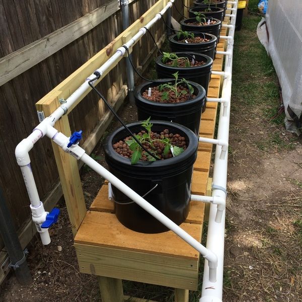 repurposedMATLS's tweet photo. OUR CUSTOMER: We sold 10 gal drums to a Minnesota customer who is using them in a Dutch Bucket hydronic growing system.  Jeff, we appreciate your business!

#hydroponics #hydroponicsystem #horticulture #recycle #repurpose https://t.co/ME7SKHnq0U
