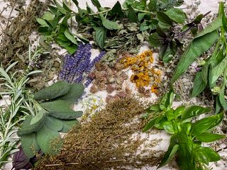 Don’t say good bye to Summer yet!! Check out our upcoming events and workshops- mailchi.mp/madlavenderfar…