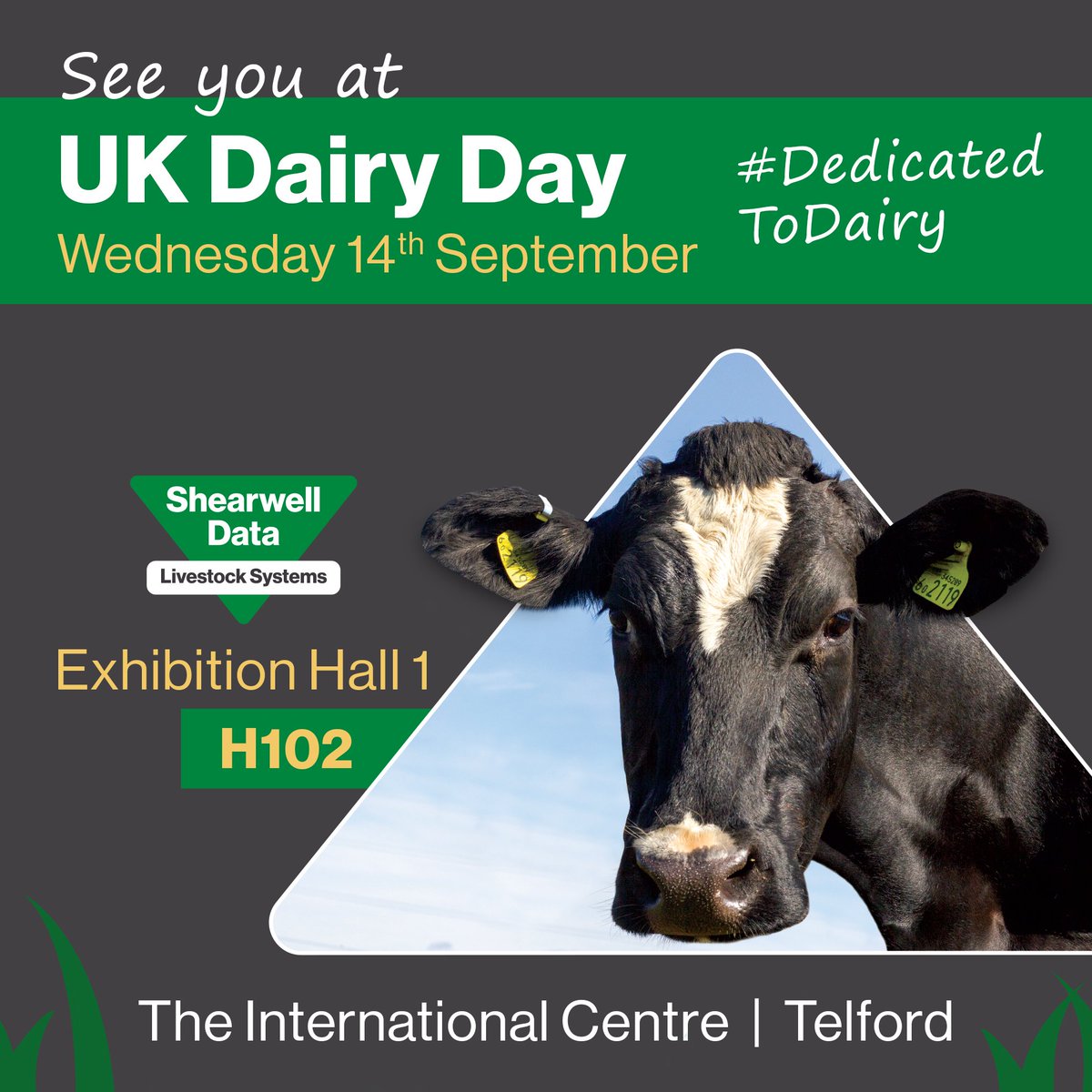 Shearwell Data Ltd tweet media