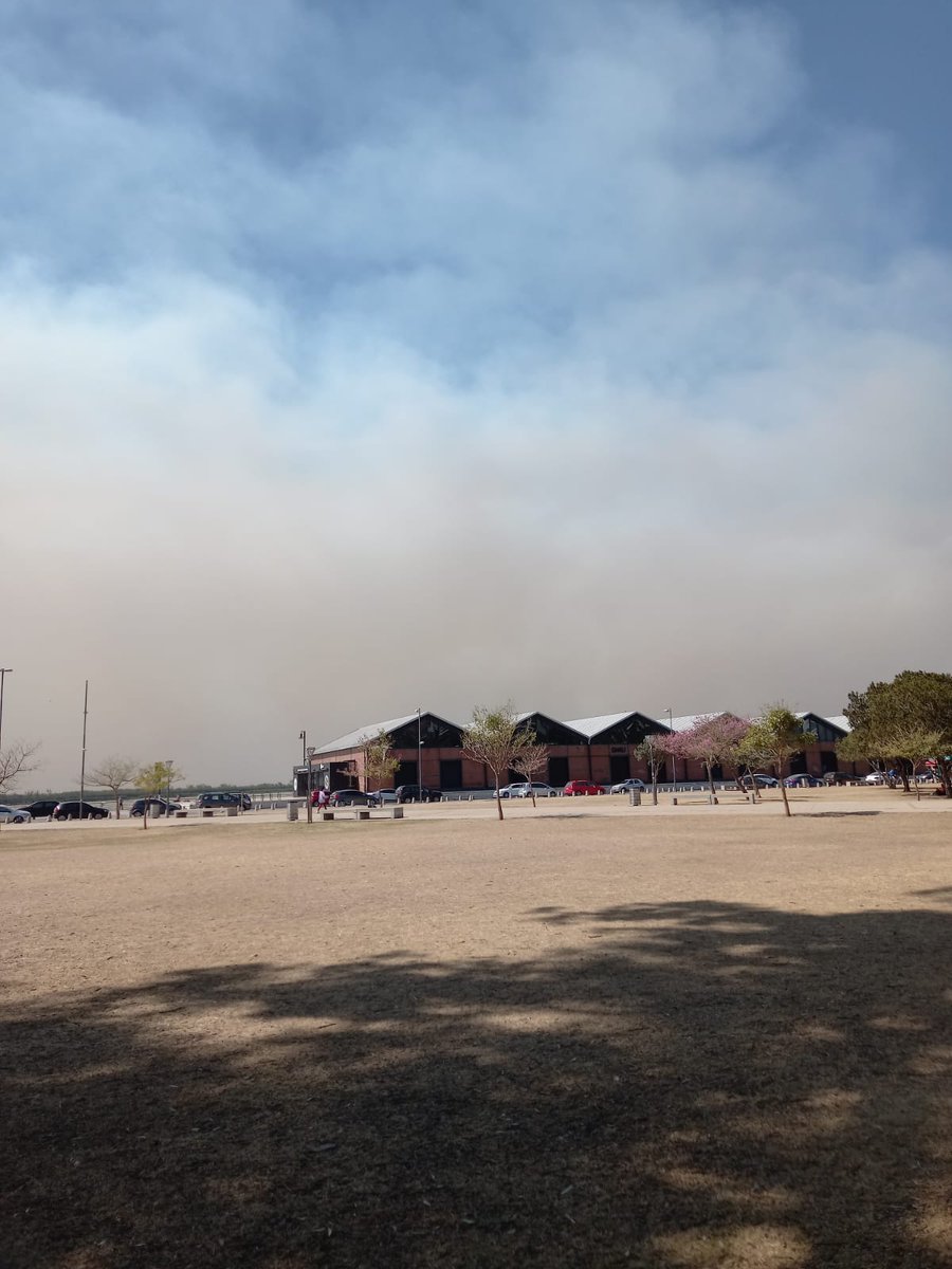 jpetunchi's tweet photo. 13.45 de un día más en Rosario cubierto de humo y con un aire irrespirable. @alferdez @juancabandie

Foto 1: el cielo casi despejado cerca del Monumento a la Bandera.
Foto 2 y 3: La densa nube de humo detrás de los galpones de la costa central, frente a las islas entrerrianas https://t.co/dnC90ioRiK