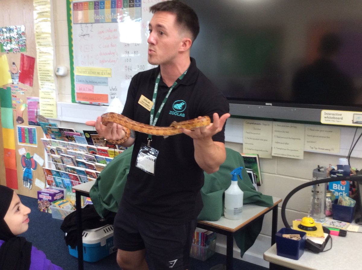 KingsleyLpool's tweet photo. #Class6P had the best morning with @ZooLabUK looking at animals. What a great link to classification #KingsleyScience πππ·πΈ https://t.co/l3Fm33nfHM
