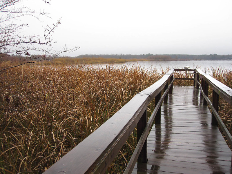 Discover_SC's tweet photo. Whatever you've got planned for your fall vacation to South Carolina, don't miss the chance to get outdoors and enjoy the gorgeous fall weather at these wildlife refuges. https://t.co/6fuTL2TKp8 #DiscoverSC #FallinSC https://t.co/MovqwHie88