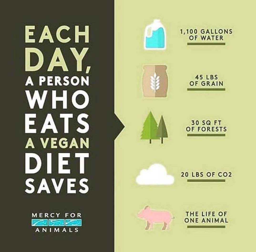 CaringDoctors's tweet photo. Het is eigenlijk heel simpel.
Ons dierlijk voedsel systeem creëert gezondheid schade, schade voor andere dieren en schade voor onze planeet - het is allemaal met elkaar verbonden. #zorgakkoord #preventie #welzijn #voorlichting #caringdoctors https://t.co/zJ3qbJluSA
