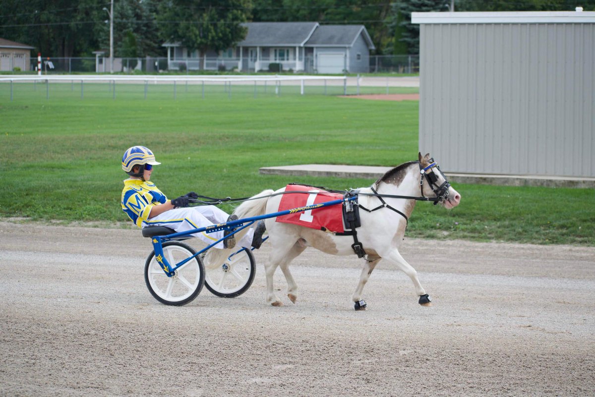 HRaceway's tweet photo. Just another reason to come out for our final race date this Sat., Sep 17th.   

We're pleased to host a Miniature Horse race between race 2 &amp; race 3, with the Young Guns of our industry showing you what they can do on the track!

(photo by Kim Babcock Watson) https://t.co/aa6KRpRVIw