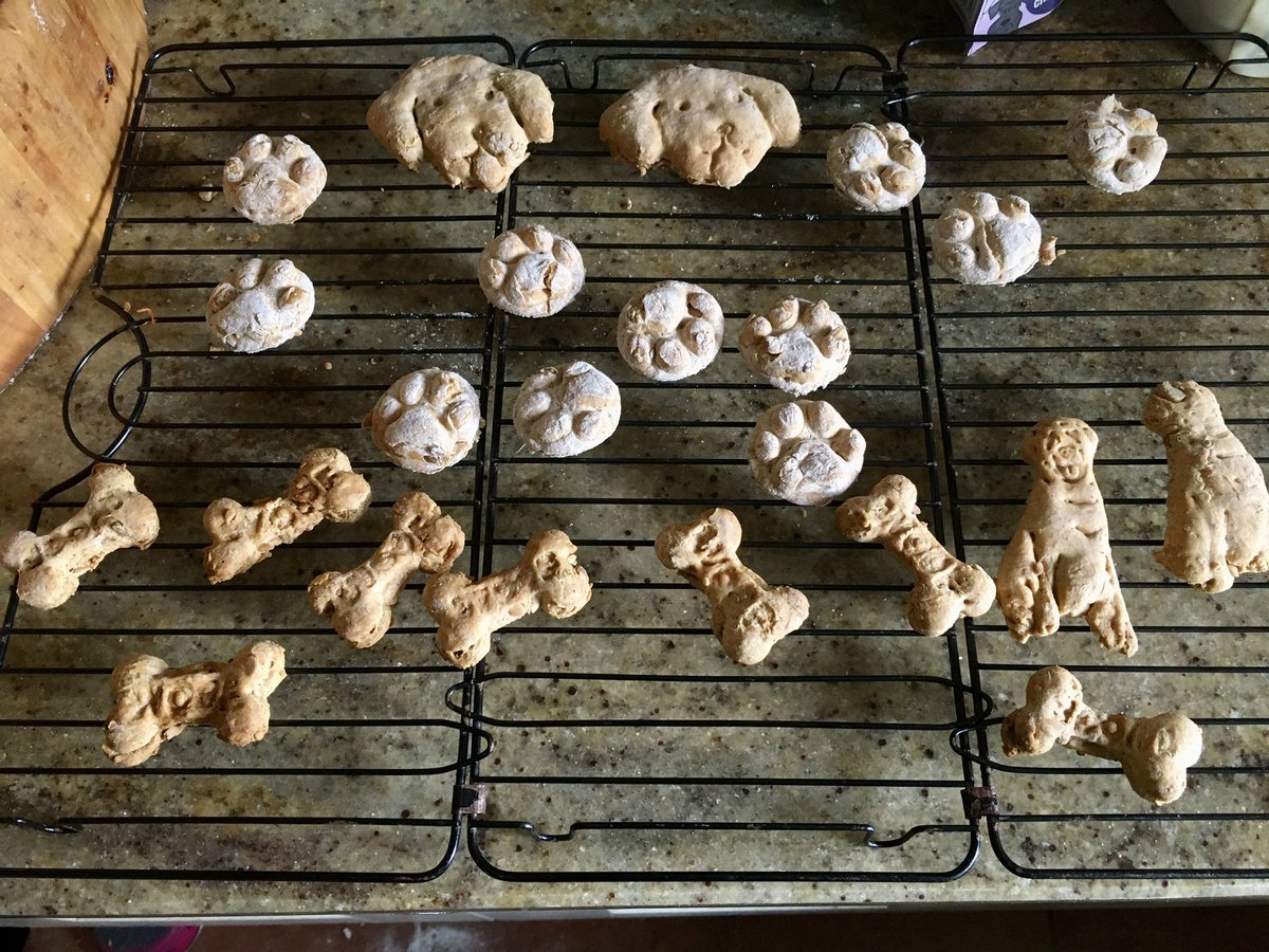 Fbarky76's tweet photo. @pipandnut I’m very fussy about what I give my dogs, so, homemade peanut butter dog treats made with your crunchy peanut butter. Plus a photo of the helpers/excited audience! https://t.co/DduqVwv7Ri
