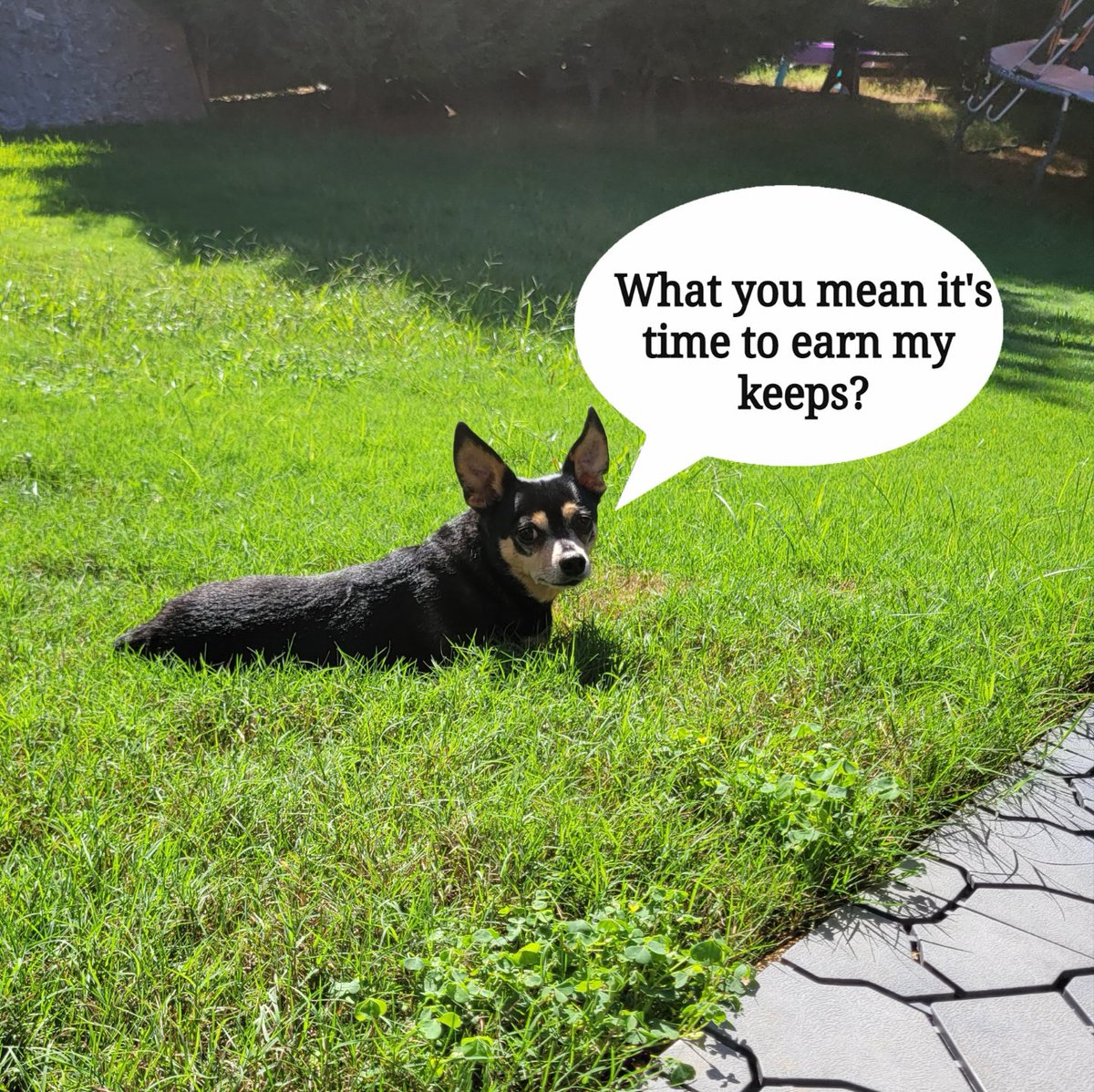 ArtJamco's tweet photo. IT'S TIME TITO FOR YOU START EARNING YOUR KEEPS AROUND THIS HOUSE! https://t.co/PXSMQfAiNd