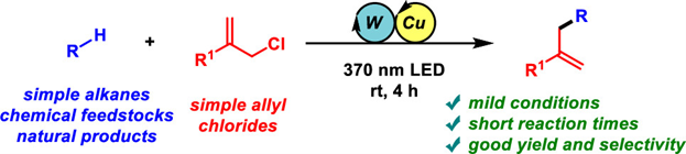 JOC_OL's tweet photo. Direct C–H Allylation of Unactivated Alkanes by Cooperative W/Cu Photocatalysis. In #OL, @mfananasmastral and team @ciqususc @UniversidadeUSC show how cooperative interaction of two metals and simple allylic chlorides can up your functionalization strategy https://t.co/q4uHYGwtPg https://t.co/SuEHEGYXsa