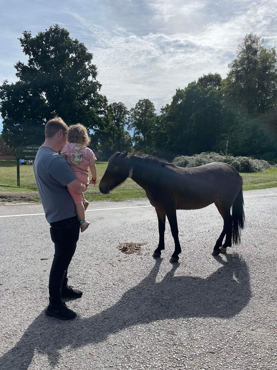 JNeuroblastoma's tweet photo. Horses &amp; hospitals. 
We’re so close to the New Forest we have had a day out looking at the wild horses. Treatment is finished, so we can now go home.

#Neuroblastoma #childhoodcancer #jessicasjourneywith #SKC #ChildhoodCancerAwarenessMonth
#southampton #newforest #newforestpony https://t.co/EJJBqftNGa