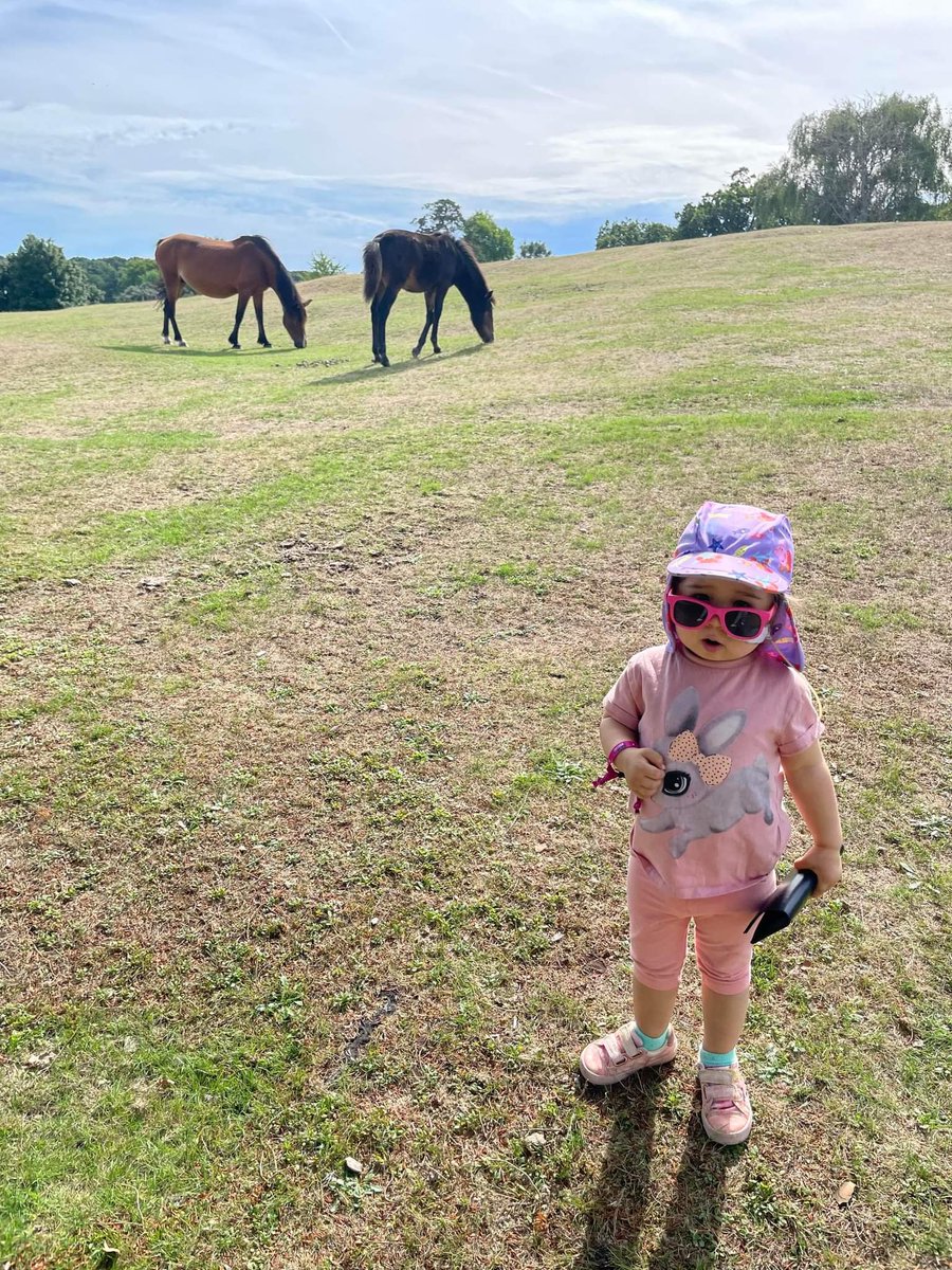 JNeuroblastoma's tweet photo. Horses &amp; hospitals. 
We’re so close to the New Forest we have had a day out looking at the wild horses. Treatment is finished, so we can now go home.

#Neuroblastoma #childhoodcancer #jessicasjourneywith #SKC #ChildhoodCancerAwarenessMonth
#southampton #newforest #newforestpony https://t.co/EJJBqftNGa