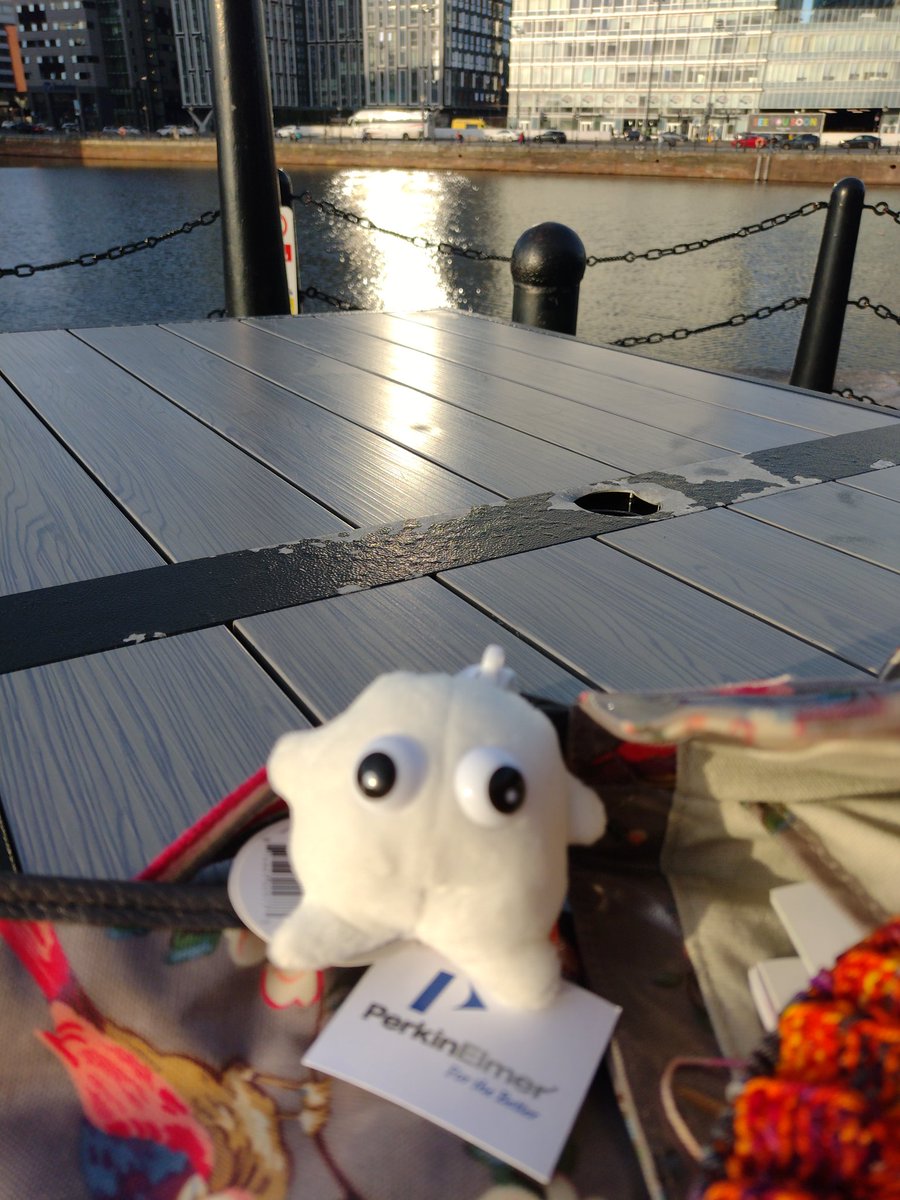 axemaiden's tweet photo. Thanks to @BSMB1 for an excellent first session of the #MatrixInDevelopment conference and a brill satellite #ECMage meeting this morning. Also great loot from @PerkinElmer (though I am a little jealous of the giant antibody!). And lovely evening for pre-dinner a pint in the sun https://t.co/Z32IhCIqOM
