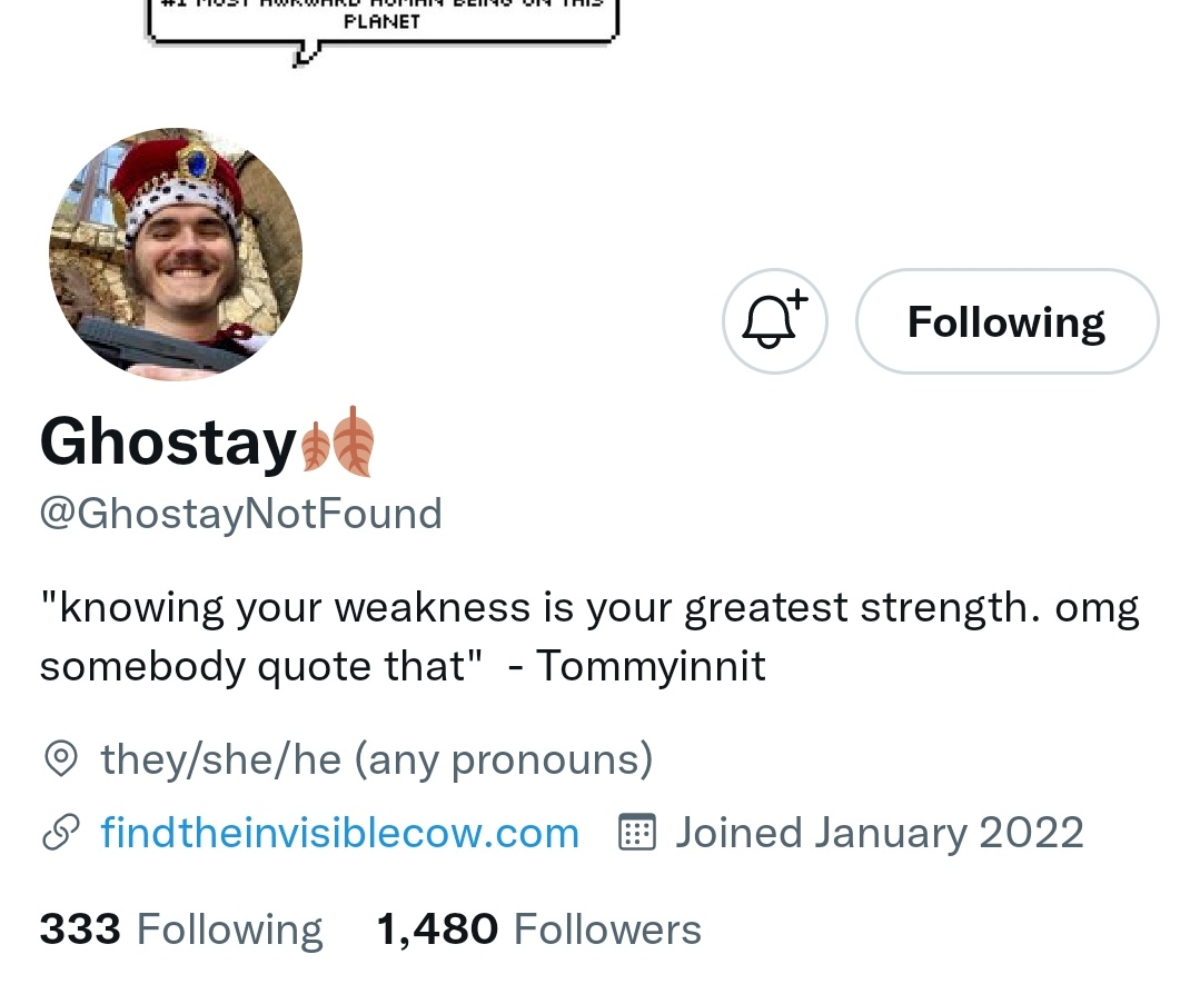 ZAZIEB0T's tweet photo. @GhostayNotFound tysm <3 I'd like the LNV bundle box or the slimecicle card deck :] https://t.co/qhClAuw19f