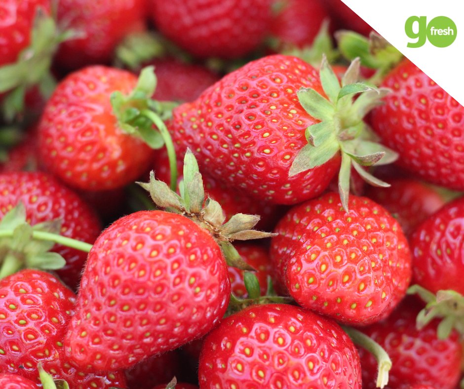GoFreshProduce's tweet photo. Did you know that consuming 2-3 servings of strawberries a week is proved to delay cognitive aging? Share your favorite way to use this extremely versatile fruit in the comments! https://t.co/2fO9X8Qsrd