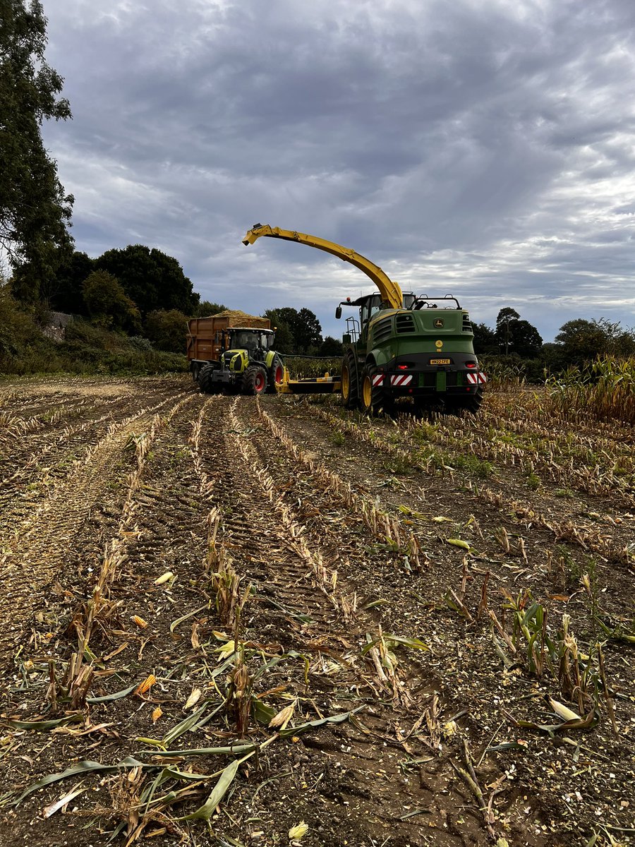 MattPothole's tweet photo. Getting stuck in now #maize #johndeere https://t.co/CIppiW7YTh