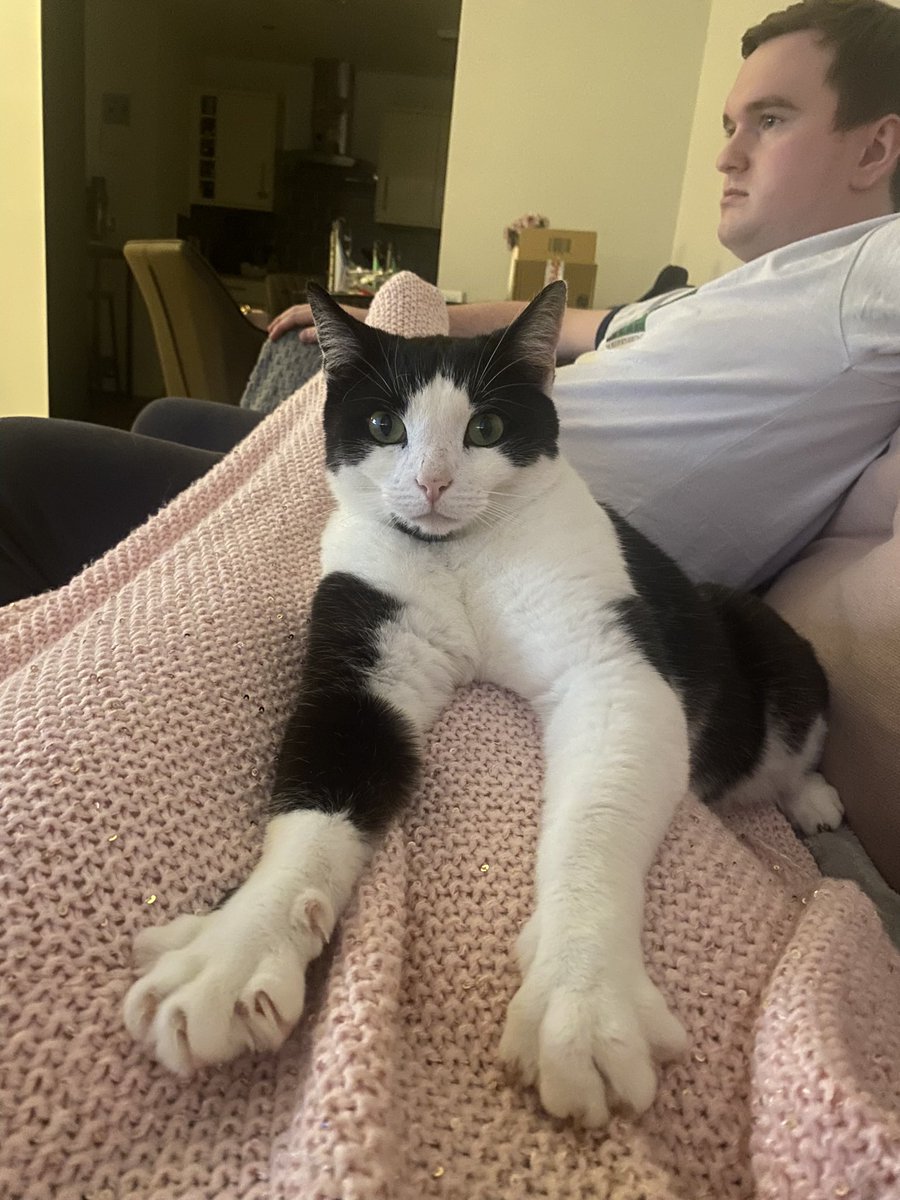 Lydmack98's tweet photo. Tommy still living his best life 🐈‍⬛🫶🏻 https://t.co/rII7AWBDmi
