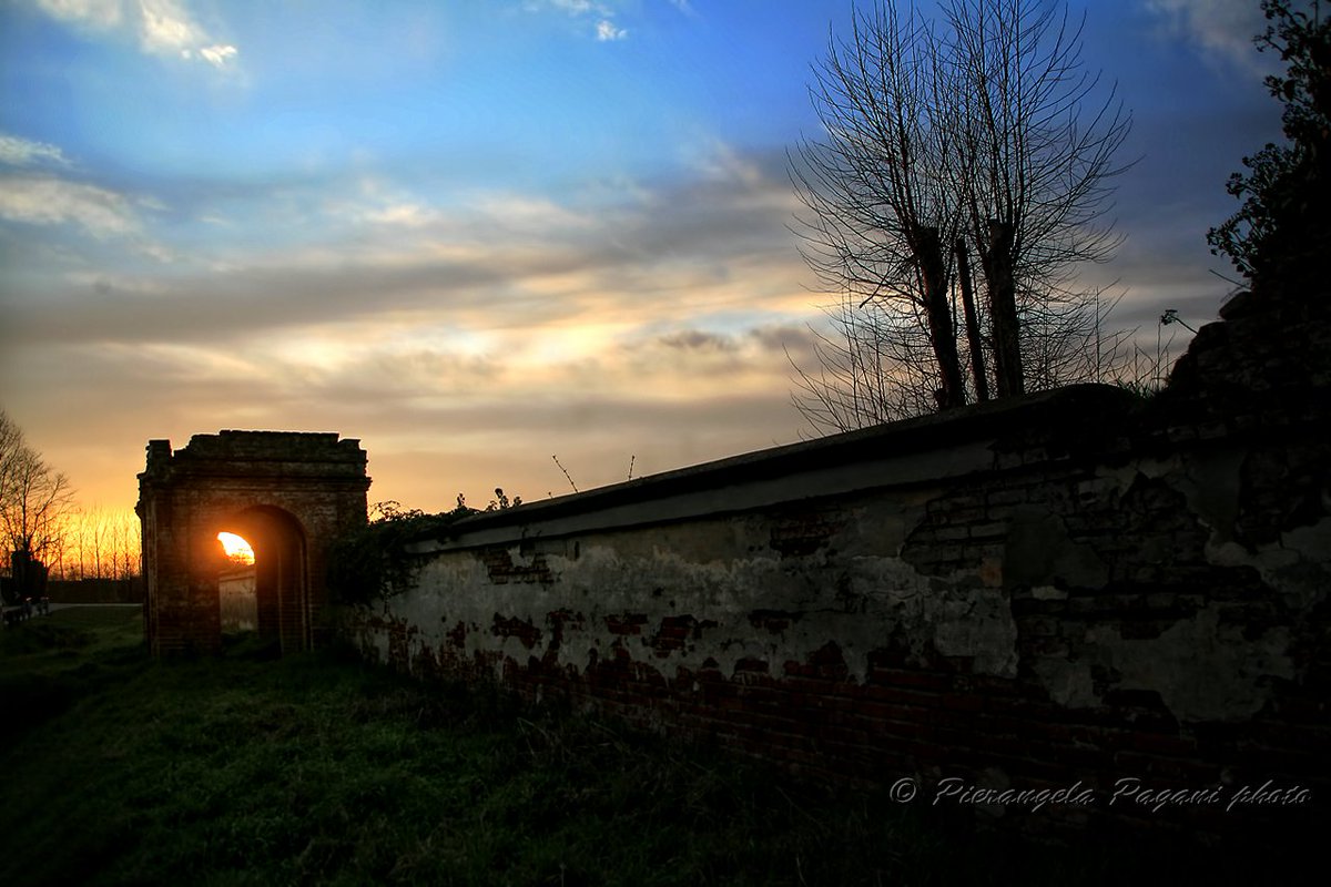 ferrarisergio4's tweet image. un attimo,
una dedica,
cos'è un breve istante,
farfalla che trova fiori.
#VentagliDiParole.