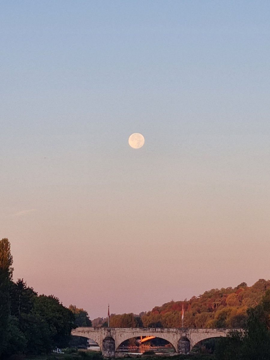 Incroyable vue ✨️