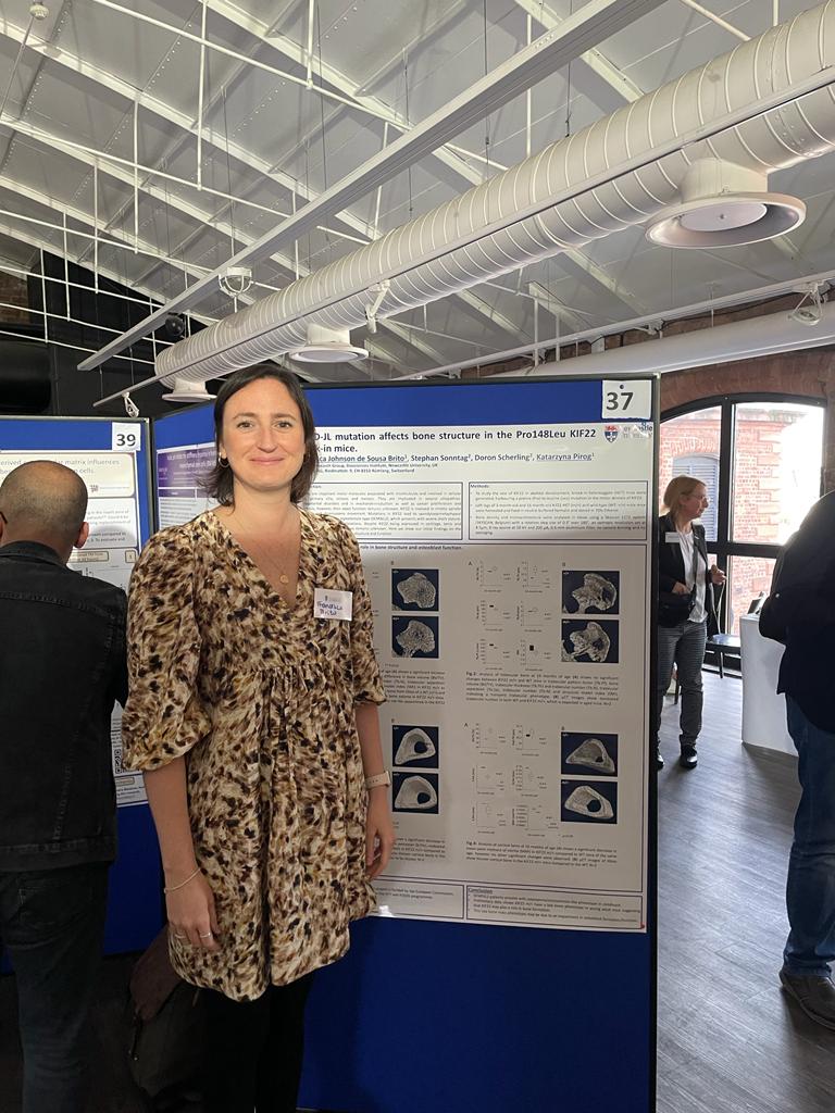KasiaPirog1's tweet photo. Brilliant first day of the autumn #BSMB meeting organised by @BlandineP84 in Liverpool. Lots of great science and so good to see everyone in person again! 🙂 Great posters by the #SRG @IGM_Skeletal, well done everyone! @marc_vlad24 @FrancescaJBrito @racheldpearson1 @JackBRoberts https://t.co/PgRFpqa11p