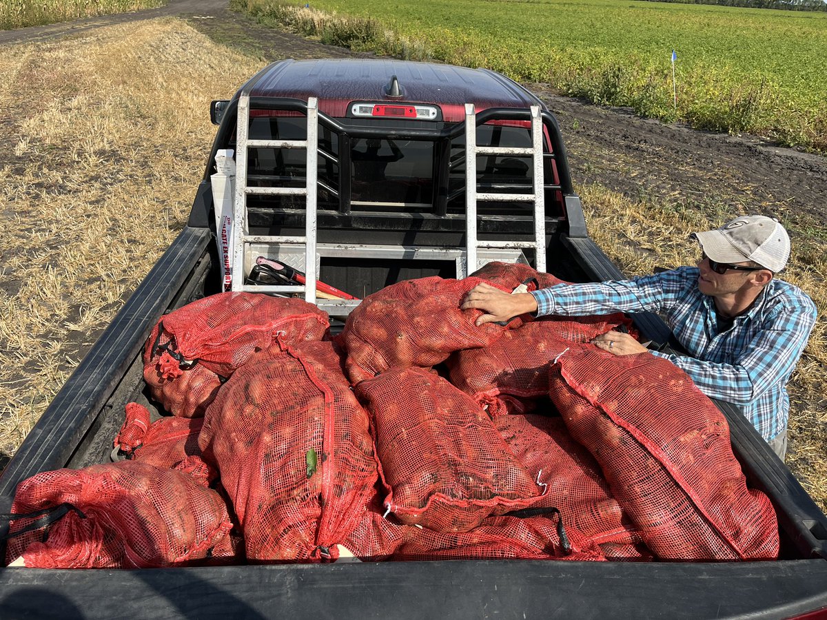 LukeTimacSK's tweet image. Digging spuds with our new team members in Manitoba. Big thanks to Trevor and the Crop Care team! #harvest22