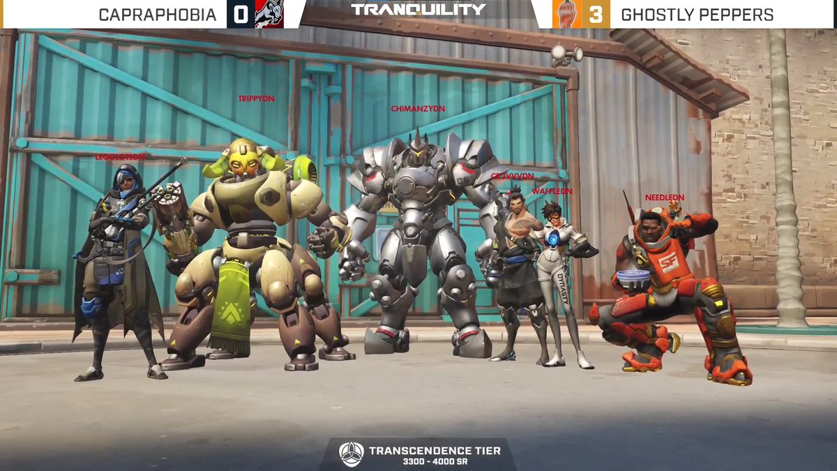 needleDN tweet media