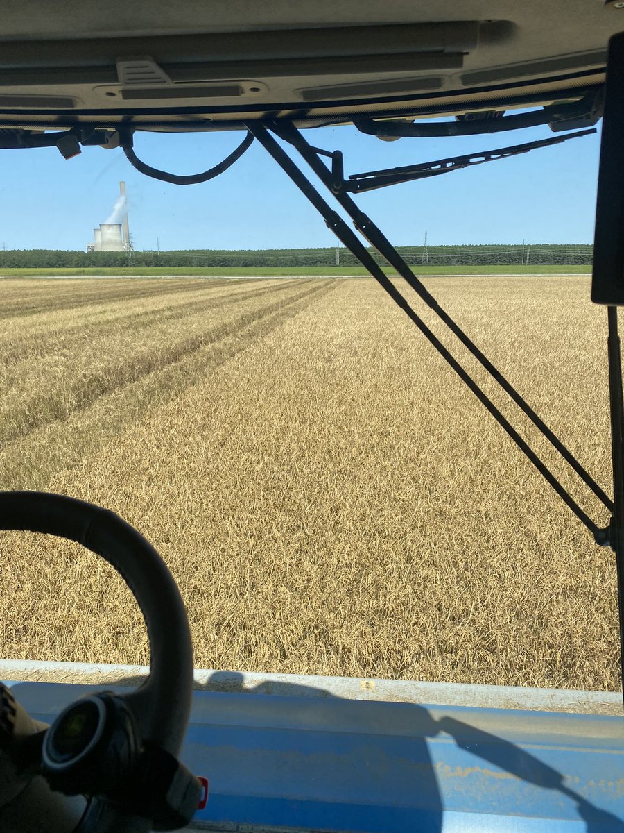 Cutting some medium grain #ARrice today.