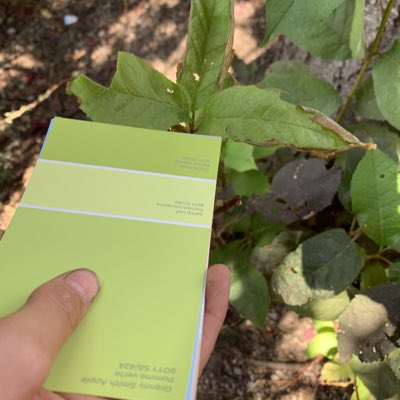 DrOakleyBlue's tweet photo. Colour scavenger hunt https://t.co/JVyH7kNiiB