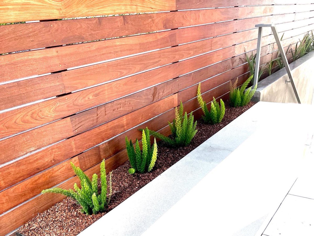 GreenGrowLS's tweet photo. When choosing plants for smaller spaces, it's important to know how they grow. We chose plants for our clients Pleasure Point home that won't out grow these spaces. They add just the right amount of color to soften the appearance of the hardscape &amp; creating warmth &amp; light.
• https://t.co/M6NsmTZ6Y9