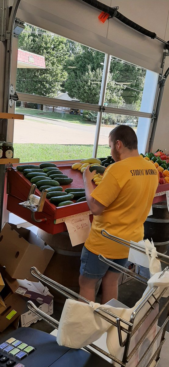 Our work experience crew at Crystal and Rich's getting produce ready for sale.