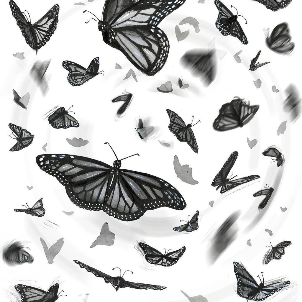 _jacqueline_ill's tweet photo. #monarch migration week in the Midwest! I created these ink drawings as chapter illustrations for #Solimar, a novel which takes place near Mexico City, where all these butterflies are headed :) Solimar is a middle grade novel written by @pammunozryan / p… https://t.co/Dq2tEfBeW5 https://t.co/66diPZ00Nf