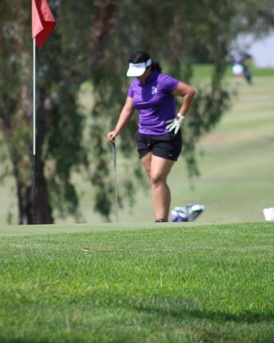 The Ridgeview High School Girls Golf Team at Noth Kern golf course 💜