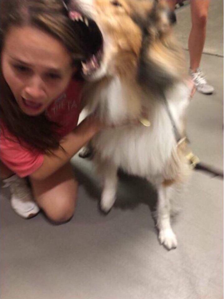 ieatcha's tweet photo. still the funniest meme to come out of A&amp;M https://t.co/eC0Yghrxwf