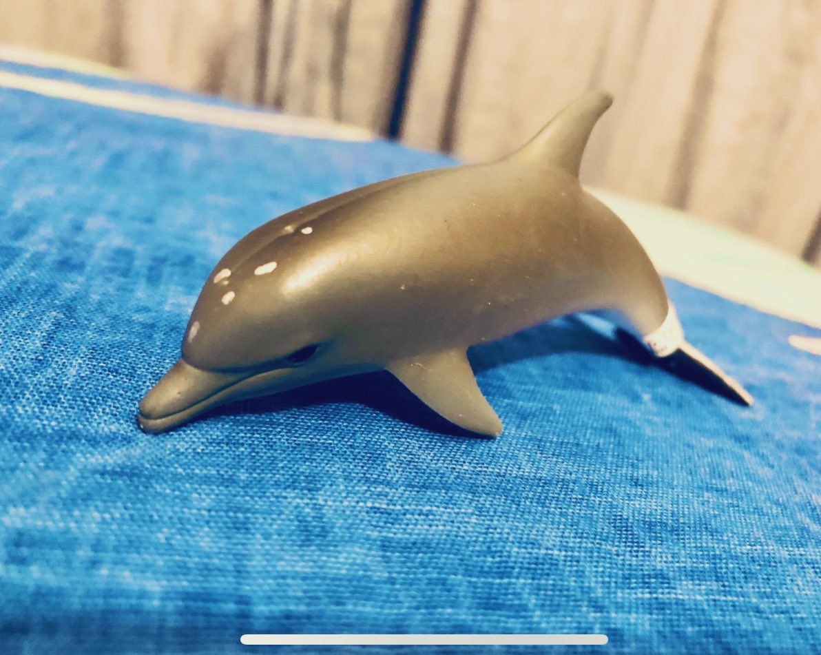 Contest!

Win a chance to win this collectible dolphin toy, ecco’d by me!  All you gotta do is RT and Follow me.  In a few days I will RNG a winner and physically send this bad boy directly to you!