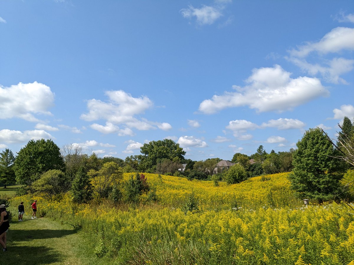 WaubonsieGreen's tweet image. AP Enviro students using our #prairie #landlab for data collection today! Students have been reconstructing this native ecosystem annually since 2001. #BeWV @ipsd204 #GoWarriors