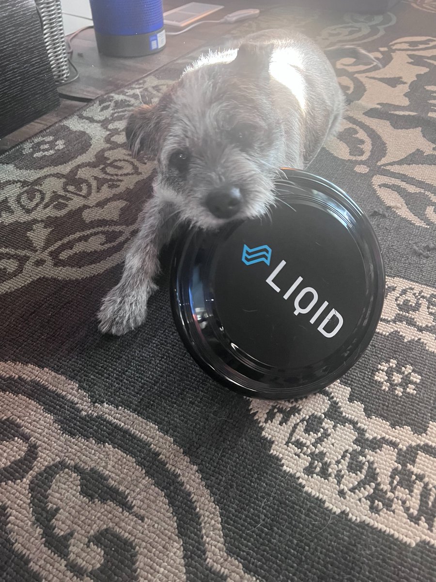 Oh to be a pup with a frisbee... especially a Liqid frisbee! Must be quite a life. Happy Tuesday! 🤠 🤠 🤠 
#WeAreLiqid #CDI #HPC #AI #ML #DL #Liqid #IT #datacenter