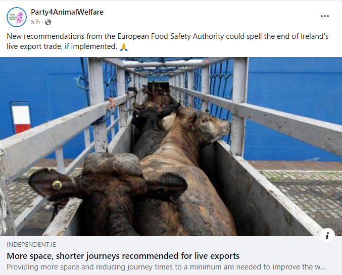 AnimalPartyIE's tweet photo. New recommendations from the European Food Safety Authority @EFSA_EU could spell the end of Ireland's live export trade, if implemented. 🙏
#EndLiveExport
#BanLiveExport
#BanAnimalExport
#BanFactoryFarming
https://t.co/xon0r00Xnq https://t.co/Fzczd9wsR3