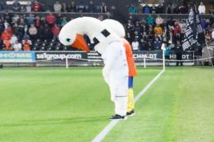MascotSilence's tweet image. Cyril the Swan paying respect to his former owner Queen Elizabeth II