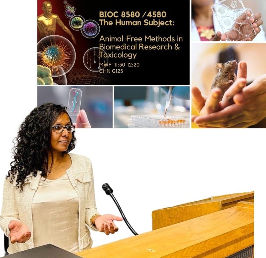 CCAAM_CaCVAM's tweet photo. After 2 years of teaching in front of a not-so-lively screen, we’re stoked to teach in-person Canada’s first graduate course in animal-free methods!
#NextGenEducation #ThinkOutsideTheCage #BiomedicalResearch #Toxicology #RegulatoryTesting #Innovation #21stCenturyScience https://t.co/fA1AoCOtgM