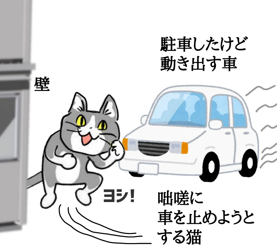 現場 猫 フォークリフト