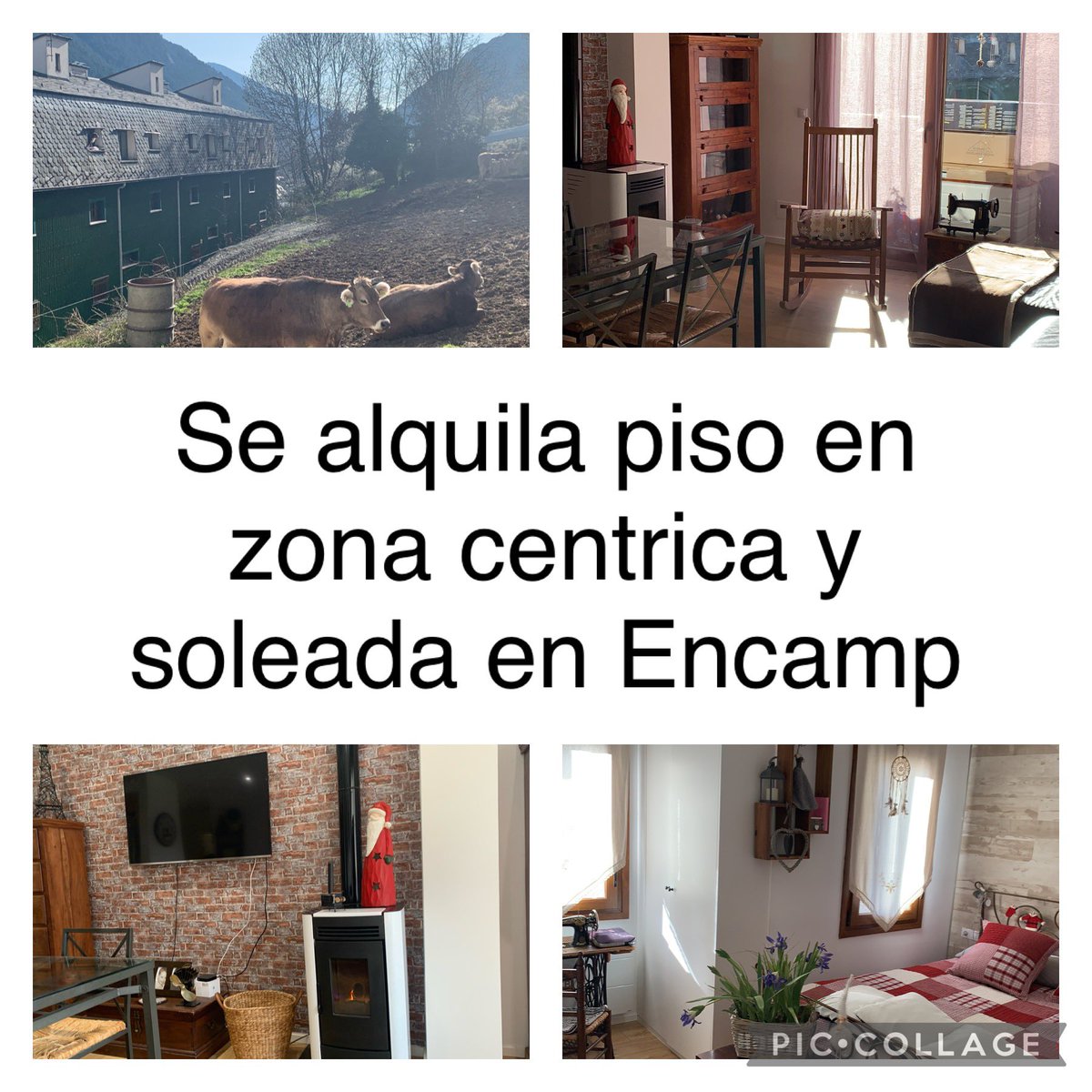 neuscervera's tweet photo. Se alquila piso centrico y muy soleado en Encamp. 
2 habitaciones dobles
Cocina equipada
Comedor con estufa de pellet
1 baño completo
Parquin y trastero. https://t.co/LtweesETny