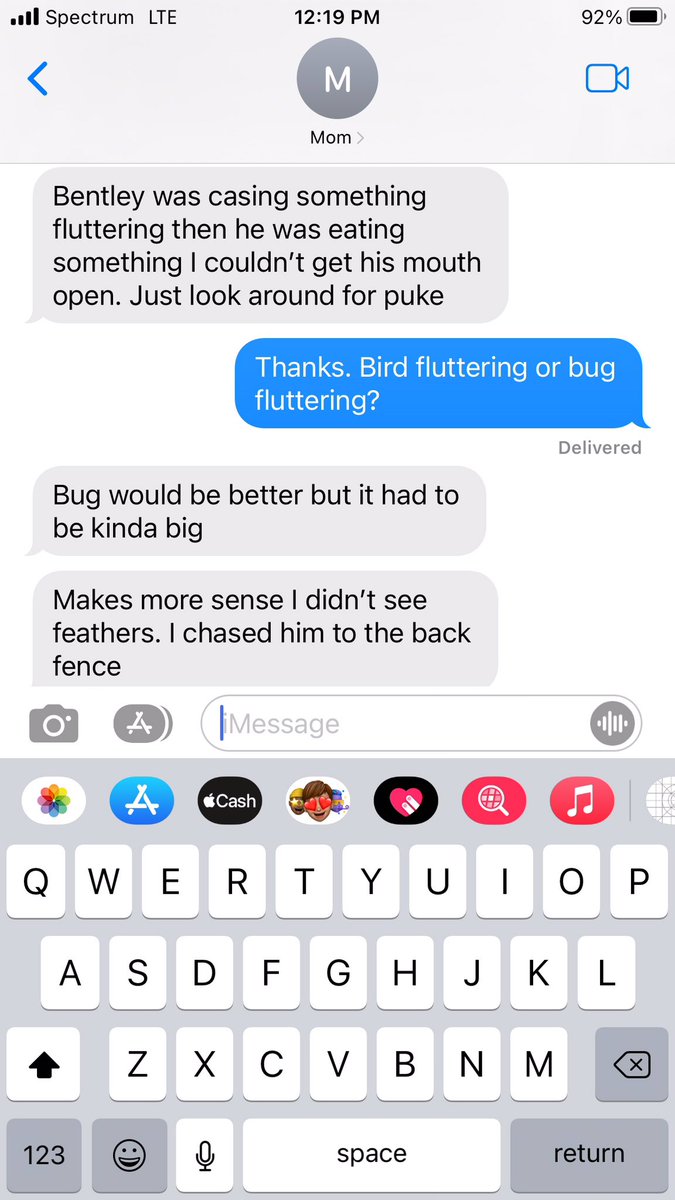 SarahEileen16's tweet photo. Dogs are fun. 😑 https://t.co/VEMWtaBqHn