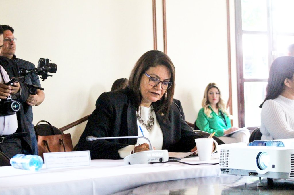 ARENAfraccion's tweet photo. #Comsiones | Se reanuda la Comisión de la Familia en la cual se continúa con el estudio del anteproyecto de #LeyAmor Convertida en Alimento para fomentar la Lactancia Materna.
Este día en representación de ARENA, está la diputada Ana María Ortiz. https://t.co/0LfFxn1fqb
