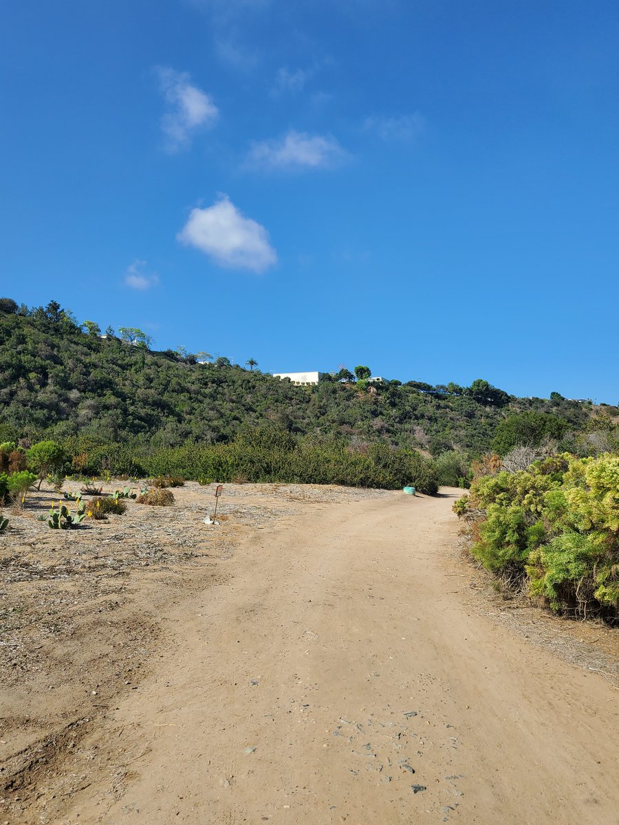 earlence tweet media