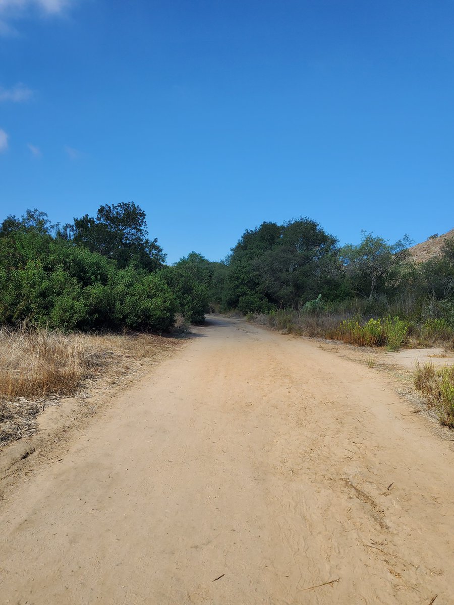 earlence tweet media