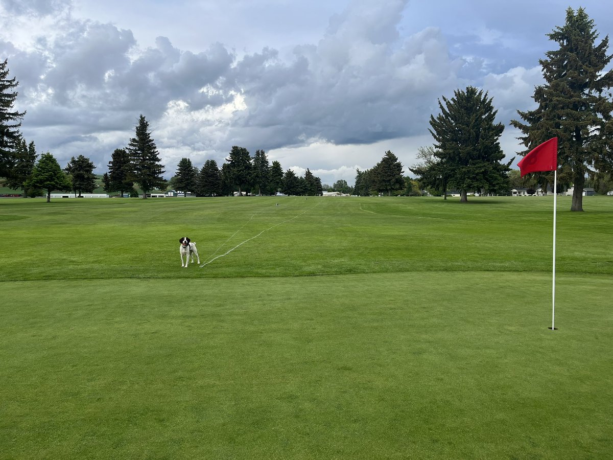 PlanetTurfusa's tweet photo. Today is the international Thank a Golf Course Superintendent Day!
With so many Supers in the PNW and beyond that choose to do business with us, we cannot help but be incredibly thankful for their support and everything that they do for the game of Golf! ⛳️ https://t.co/2TAOJvYJuV