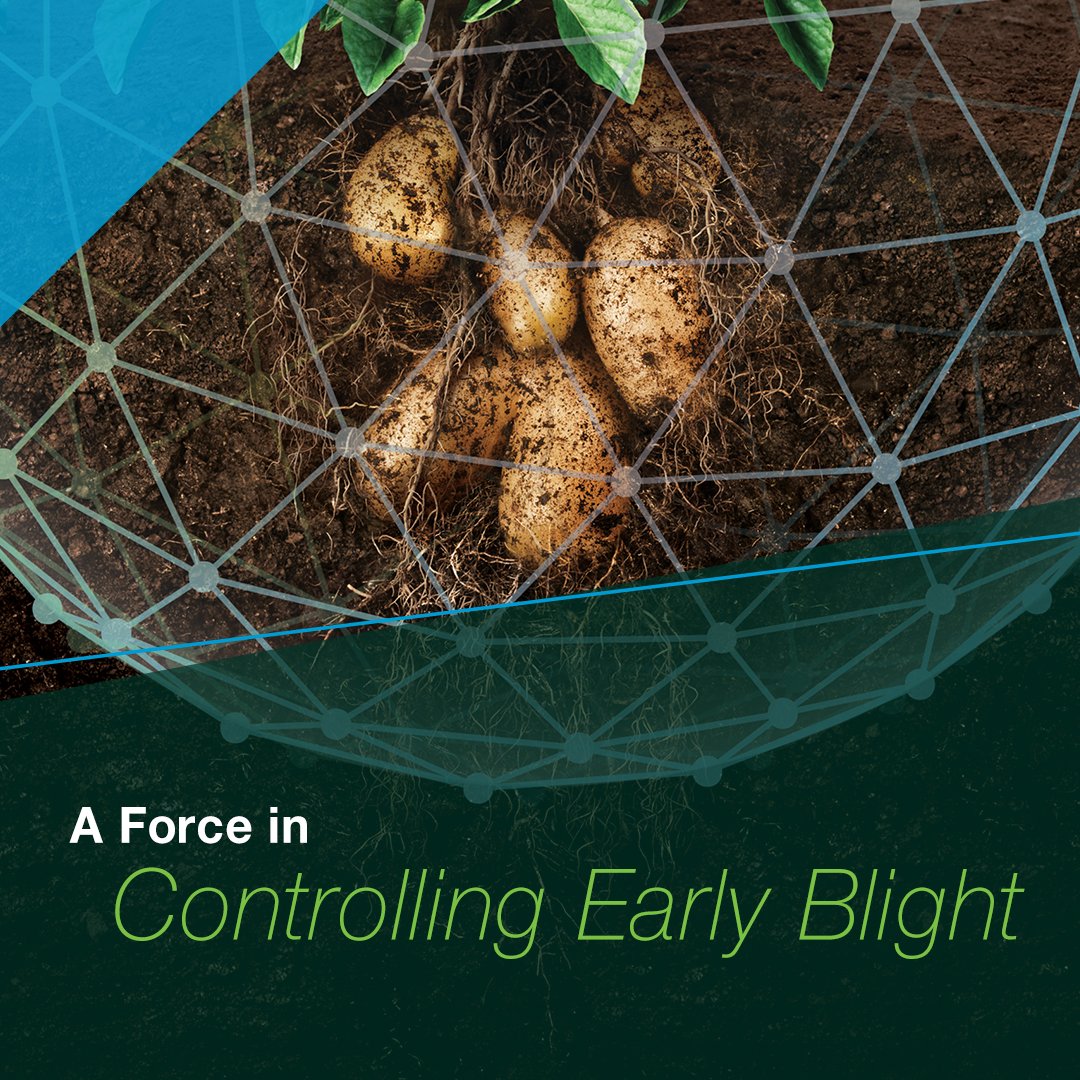BayerCropProUS's tweet photo. Create a #ForceInTheField to protect your #potato crop from a wide range of pests and diseases before harvesting. ๐ฅ
https://t.co/OCN0r2ZKlW
#CropProtection https://t.co/Xb9yACHAbs