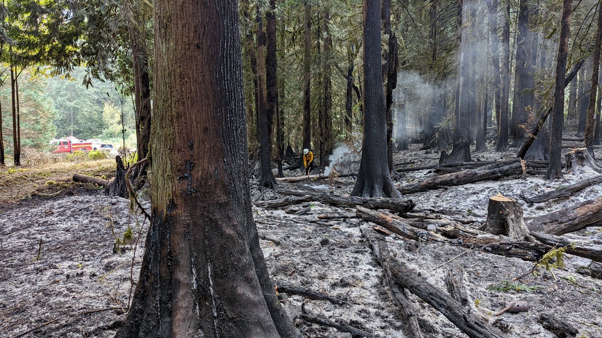 SeattleFire tweet picture